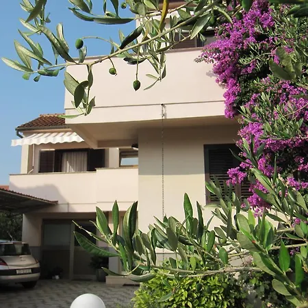 Zd City Guest house